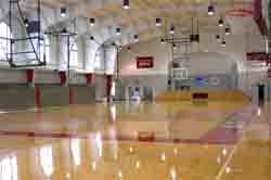 With few exceptions, metal halide high bay and low bay lights are the best luminaires to use for gymnasium lighting.  They are common in school gyms, clubs, and recreational basketball courts and provide a robust source of white light with a high CRI