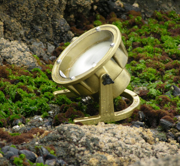 RLLD PAR36 LowVoltage Brass Underwater Light